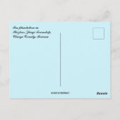 Carte Postale Tea Plantation in Taiwan (Dos)