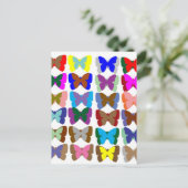 Carte Postale TEAM papillon : Apprendre les COULEURS et la compt (Debout devant)