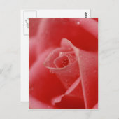 Carte Postale Teardrop dans l'oeil (Devant / Derrière)