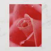 Carte Postale Teardrop dans l'oeil (Devant)