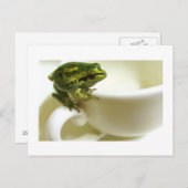 Carte Postale teatime royale (Devant / Derrière)