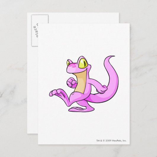 Carte Postale Techo rose (Devant / Derrière)