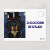 CARTE POSTALE TECKEL     (Dos)