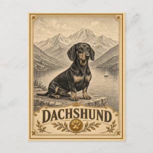 Carte Postale Teckel, Chien du Patrimoine Vintage