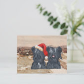 Carte Postale Teckels d'hiver (Debout devant)
