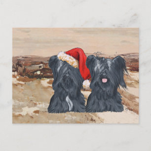 Carte Postale Teckels d'hiver