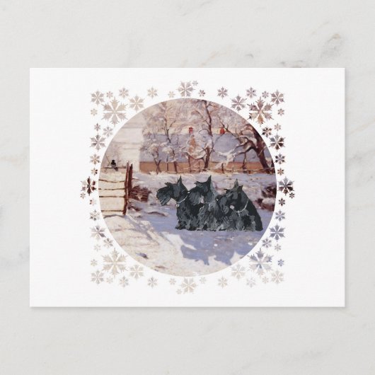 Carte Postale Teckels Écossais Magpie d'Hiver (Devant)