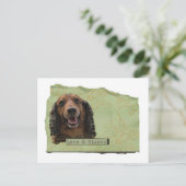 Carte Postale Teckle / Dachshund en vert (Debout devant)