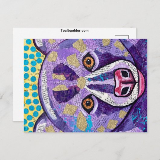 Carte Postale Teddy (Devant / Derrière)