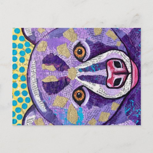 Carte Postale Teddy (Devant)