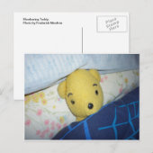 Carte Postale Teddy (Devant / Derrière)