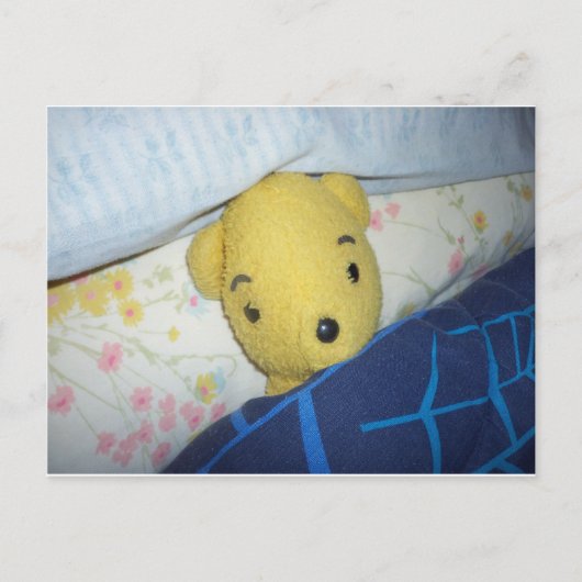 Carte Postale Teddy (Devant)