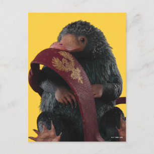 Carte Postale Teddy Avec Cravate Graphique