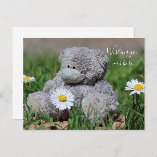 Carte Postale Teddy Bear (Devant / Derrière)