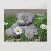 Carte Postale Teddy Bear (Devant)