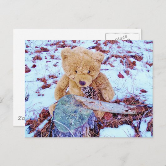 Carte Postale Teddy Bear dans la Neige (Devant / Derrière)