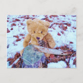 Carte Postale Teddy Bear dans la Neige (Devant)