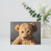 Carte Postale Teddy dit bonjour (Debout devant)
