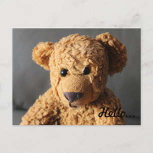Carte Postale Teddy dit bonjour