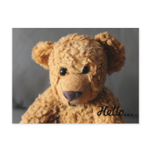 Teddy dit bonjour