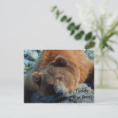 Carte Postale Teddy le Grizz (Debout devant)