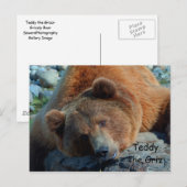 Carte Postale Teddy le Grizz (Devant / Derrière)