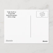 Carte Postale Teddy le Grizz (Dos)