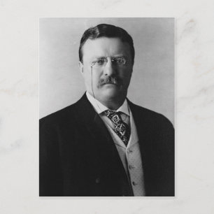 Carte Postale Teddy Roosevelt