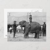 Carte Postale Teddy Roosevelt au cirque : 1924 (Devant / Derrière)