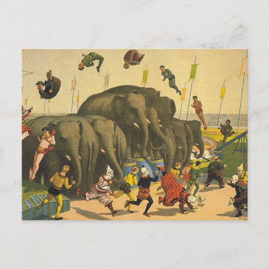 Carte Postale TEE Elephant acroates (Devant)