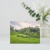 Carte Postale Tegallalang (Debout devant)