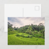 Carte Postale Tegallalang (Devant / Derrière)