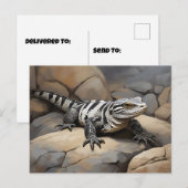 Carte Postale Tegu noir et blanc argentin (Devant / Derrière)