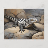 Carte Postale Tegu noir et blanc argentin (Devant)