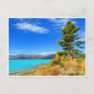 Carte Postale tekapo nouvelle-zélande