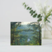 Carte Postale Tekoa (Debout devant)
