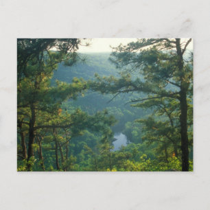 Carte Postale Tekoa