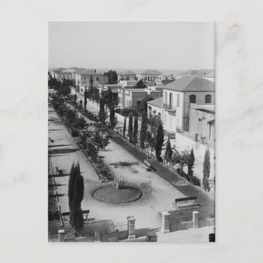 Carte Postale Tel Aviv au début des années 1920 (Devant)