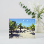 Carte Postale tela palms (Debout devant)