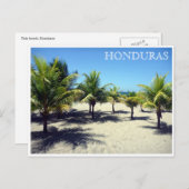 Carte Postale tela palms honduras (Devant / Derrière)