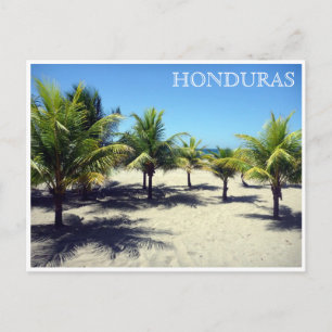 Carte Postale tela palms honduras