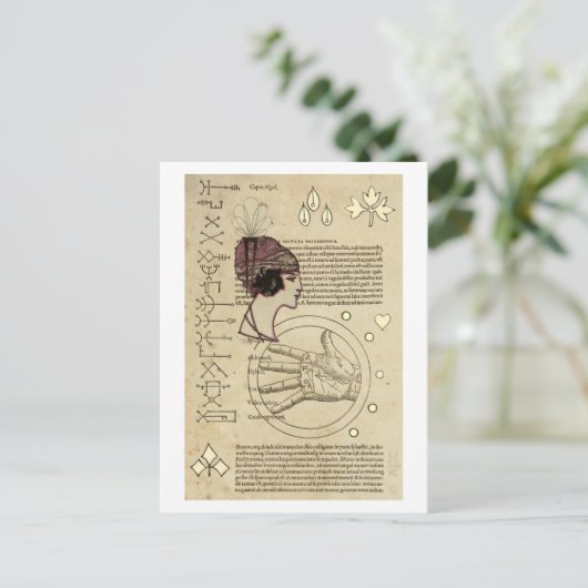 Carte Postale Teller Typsy Fortune (Debout devant)