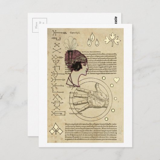 Carte Postale Teller Typsy Fortune (Devant / Derrière)