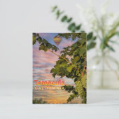 Carte postale Temecula Wine Country (Debout devant)