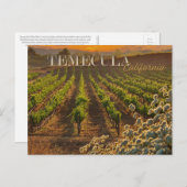 Carte postale Temecula Wine Country Vignoble (Devant / Derrière)