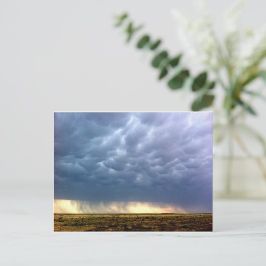 Carte Postale Tempête (Debout devant)