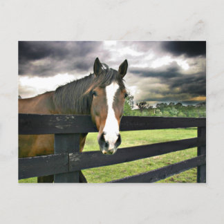 Carte Postale Tempête à cheval de baie