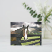 Carte Postale Tempête à cheval de baie (Debout devant)
