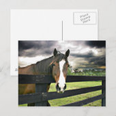 Carte Postale Tempête à cheval de baie (Devant / Derrière)