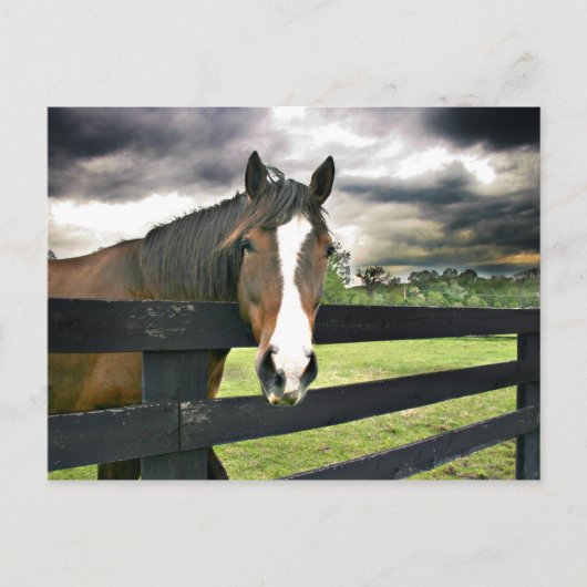 Carte Postale Tempête à cheval de baie (Devant)
